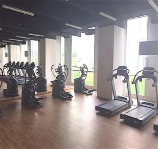 Blue Horse In New Polanco. Apartment *
