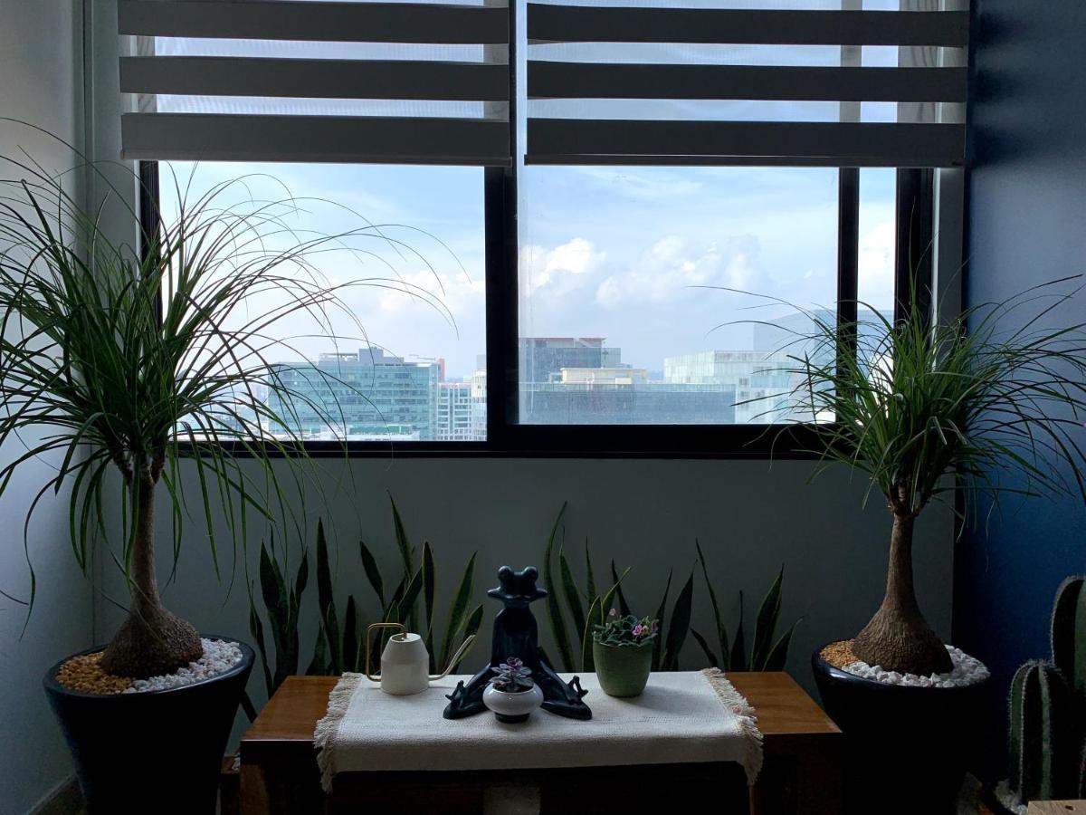 Apartment Blue Horse In New Polanco.