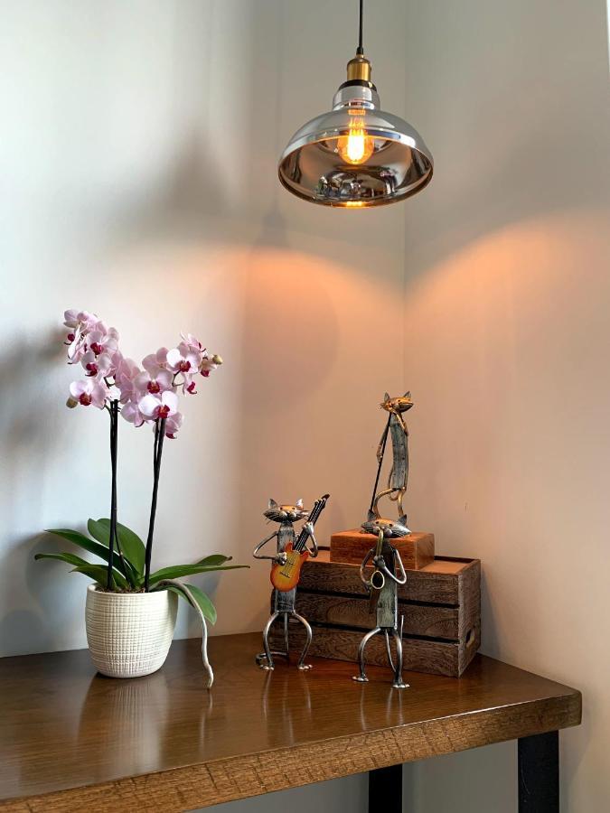 Apartment Blue Horse In New Polanco.