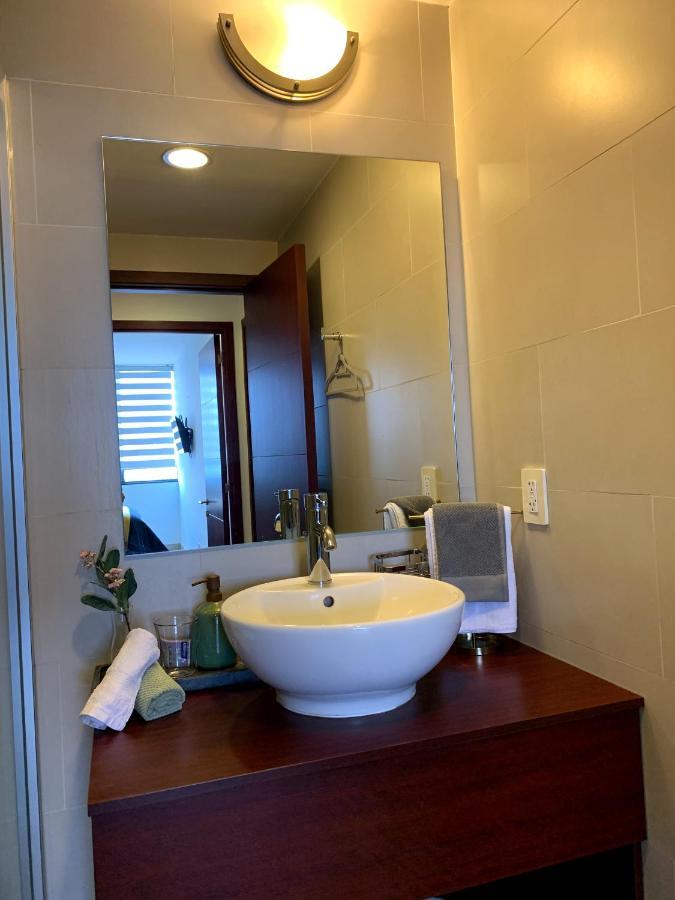 Blue Horse In New Polanco. Apartment