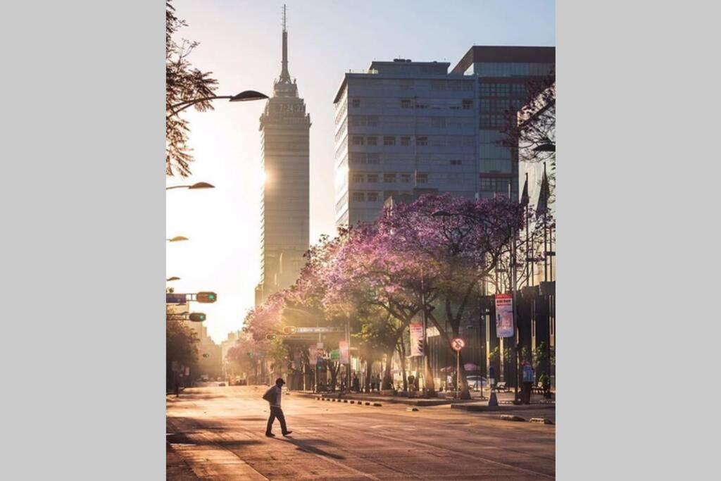 Lavish & Vibrant Apt. Bellas Artes Palace And Park View Apartment