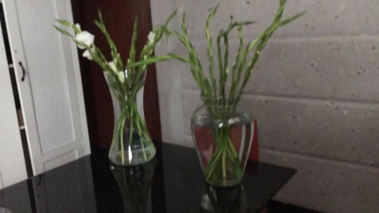 Arte Y Cultura, Casa Polanco. Apartment *