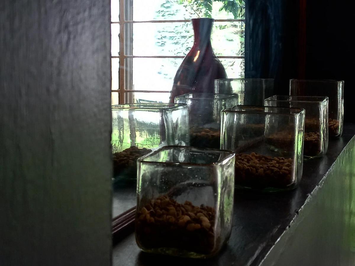 Homestay La Favorita