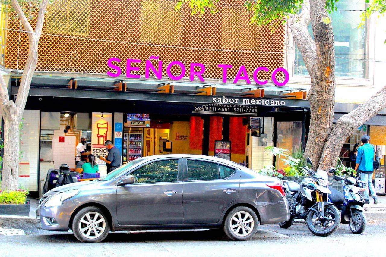Nomadier Experience Condesa Homestay Mexico City