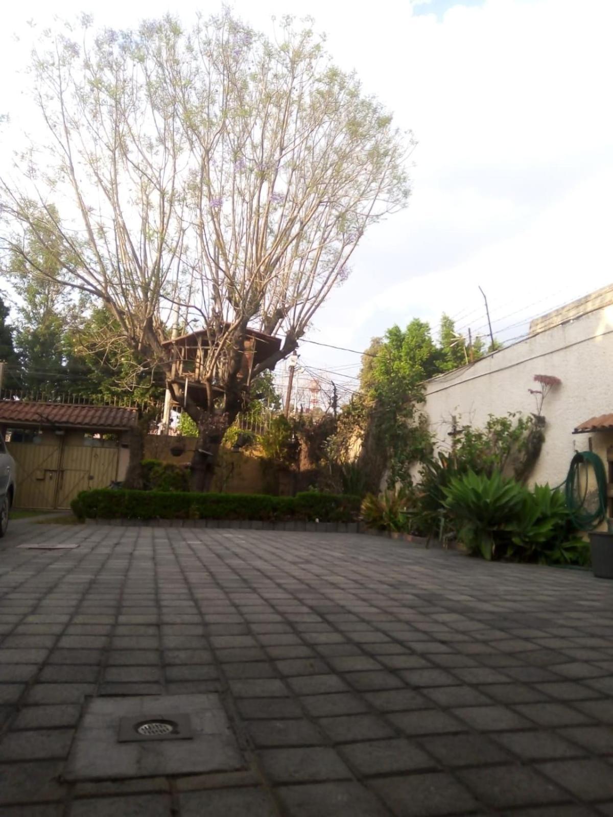 Casita Del Arbol *