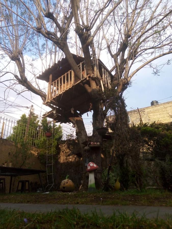 Homestay Casita Del Arbol