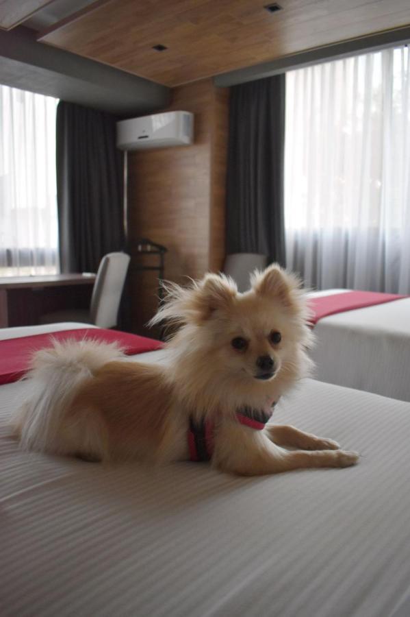 Park Nilo Hotel