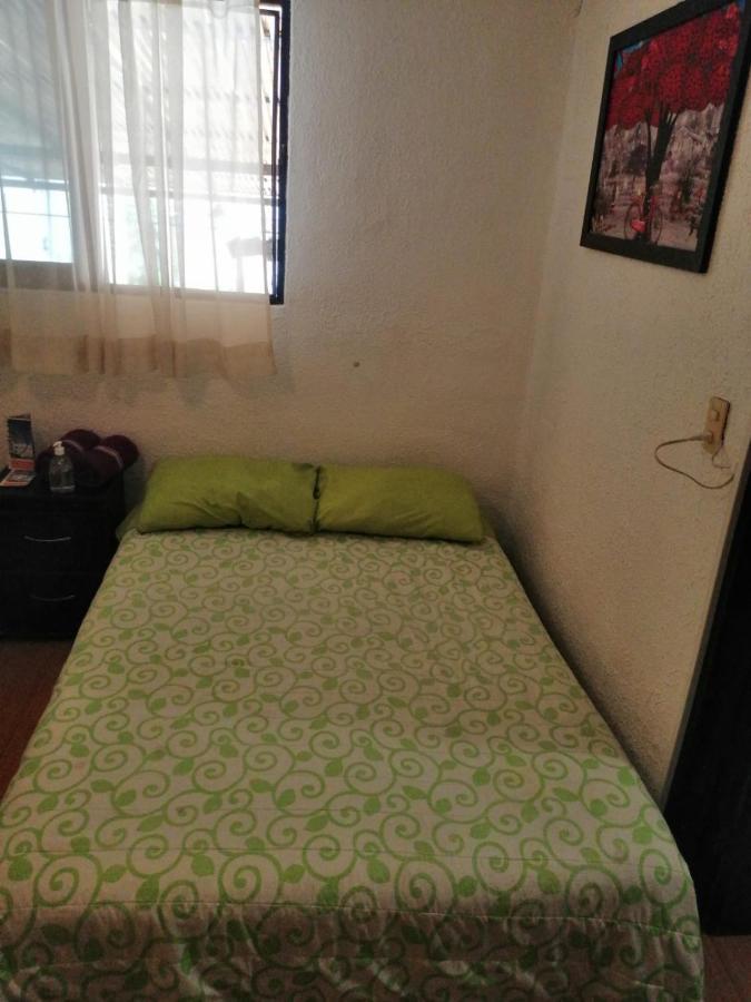 Casita Del Arbol