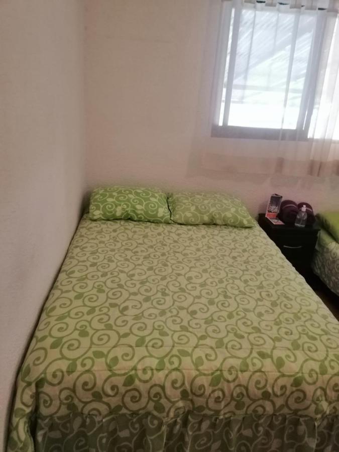 Casita Del Arbol Mexico City