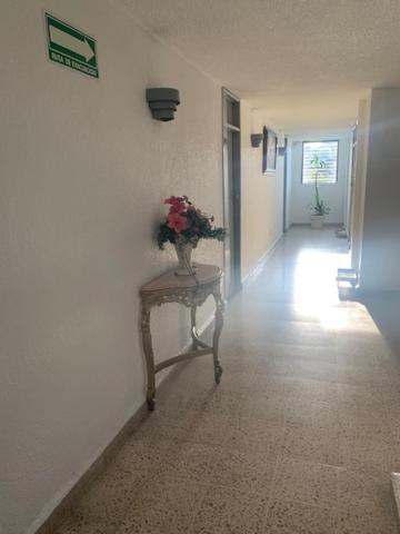 Hotel Polly Mexico City