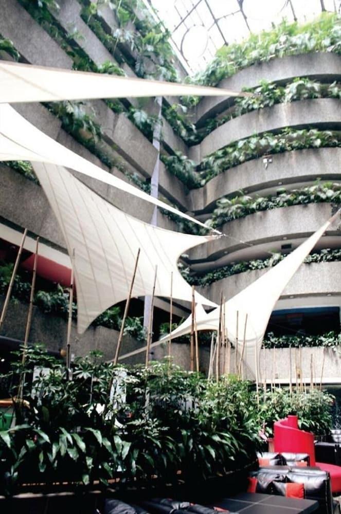 Real Del Sur México DF
