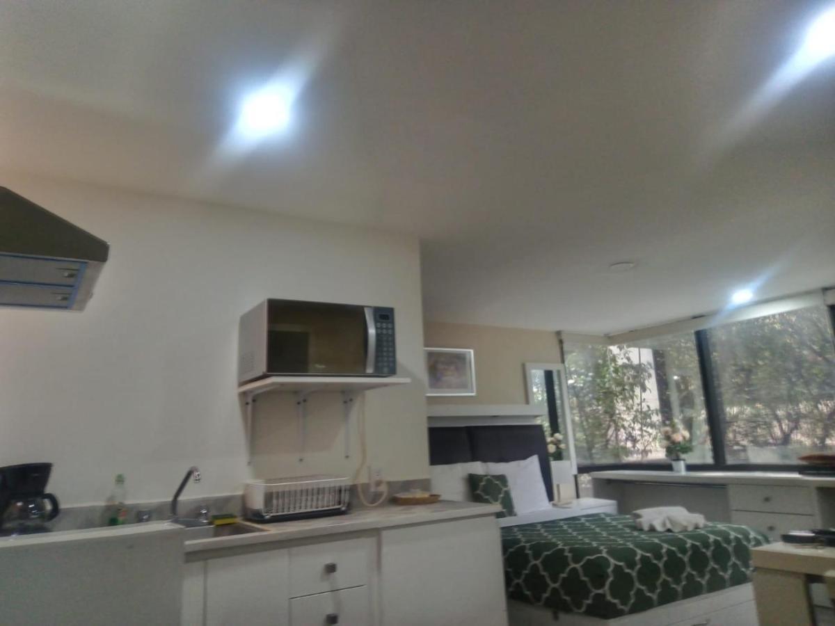 Lovely Loft At The Business Heart Of Mexico City