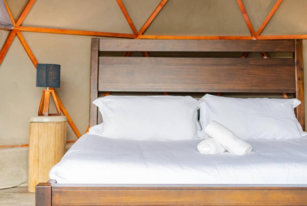 Apartment Vh - Romantic Escape Domo In Condesa Ar Mexico City
