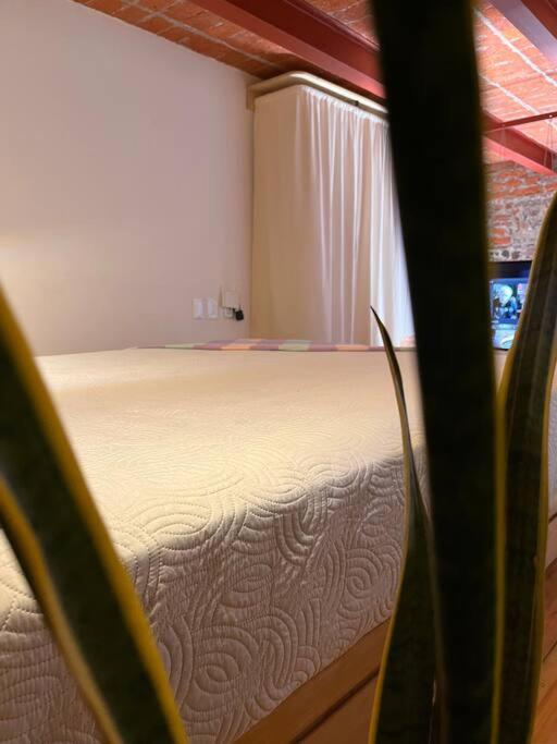 108, Loft Confortable, Balcon 1 Calle Bellas Artes Apartment *