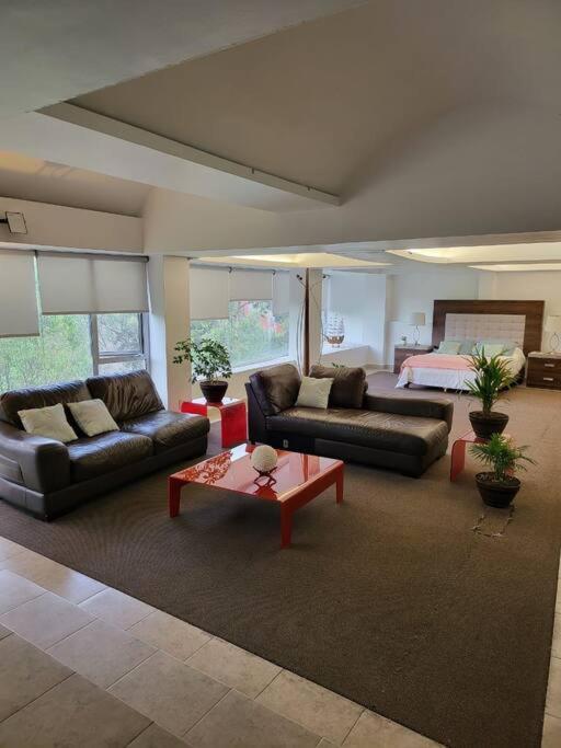 Apartment Hermoso Loft Espectacular Vista Bosquesdelaslomas