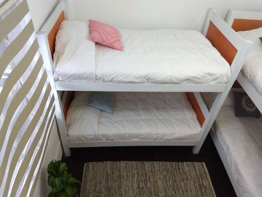 Apartment Reg Amplio Y Acogedor Depto Centro Historico Cdmx Mexico City