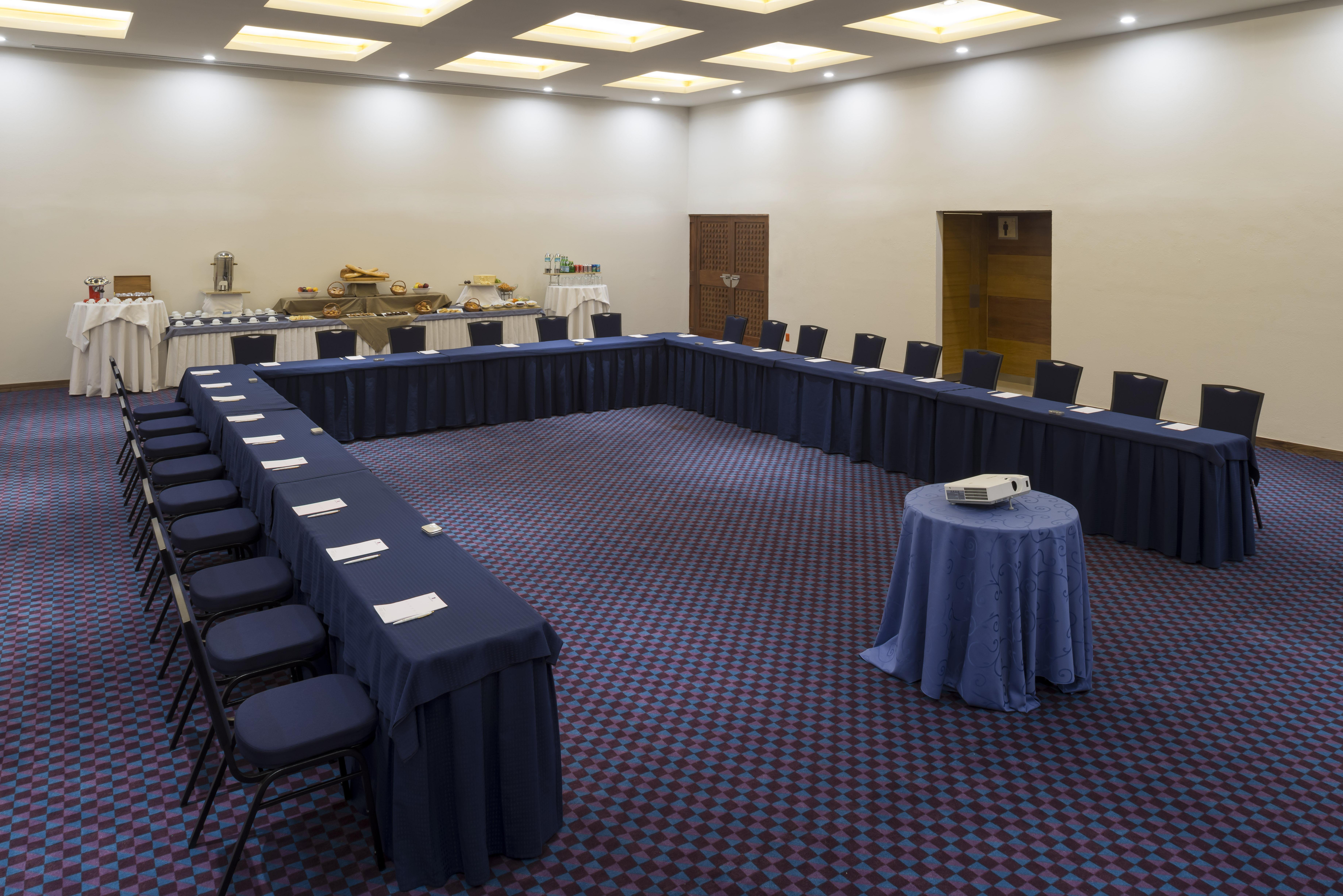 Camino Real Pedregal Hotel