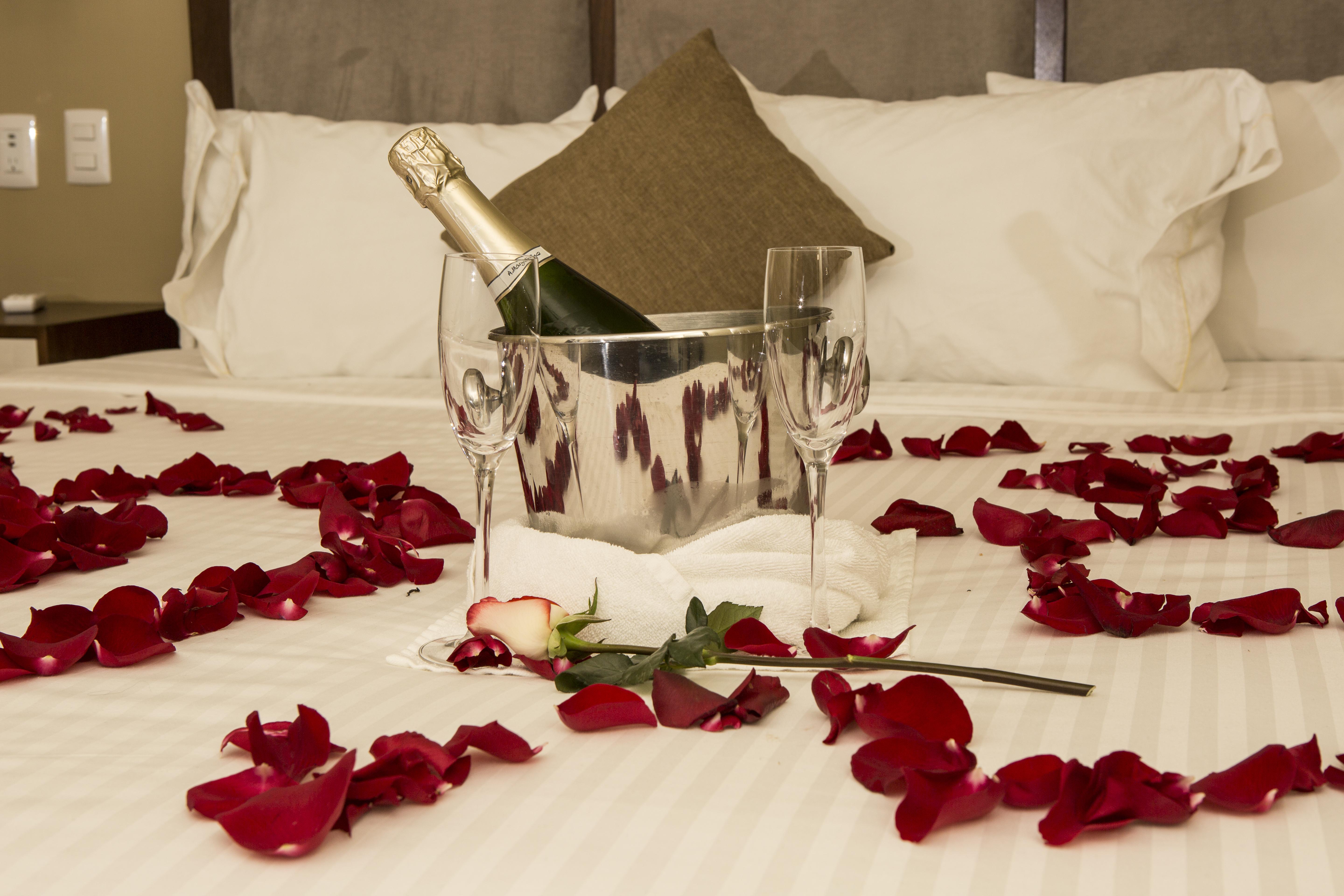 Hotel Suites Lerma