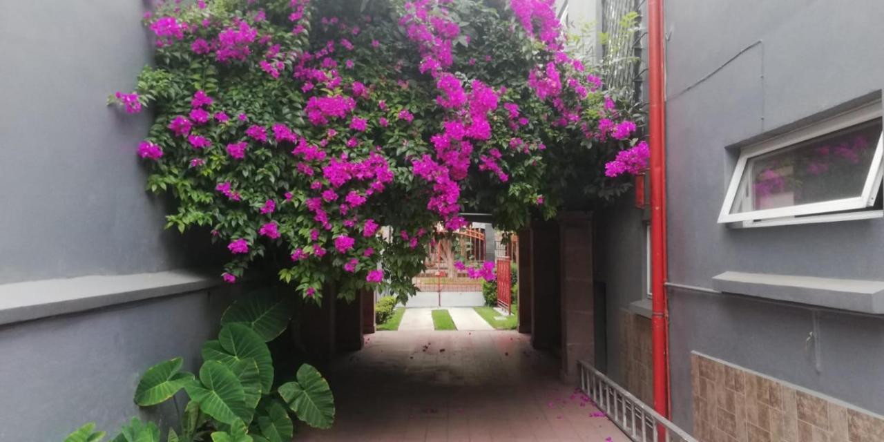 Arte Y Cultura, Casa Polanco.