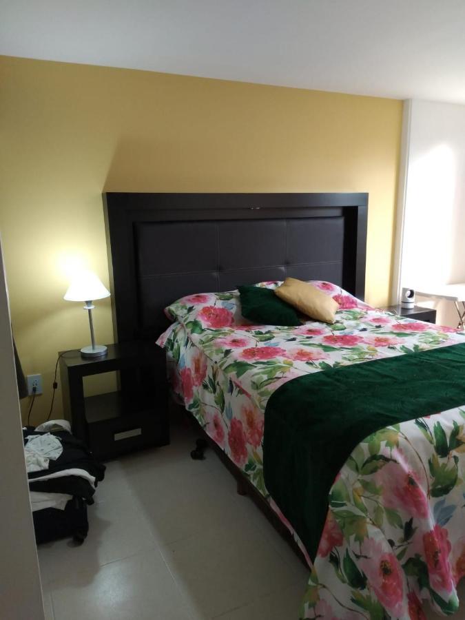 Charming Sunny Bedroom Overlooking Beautiful Amsterdam Avenue In Condesa Area Homestay