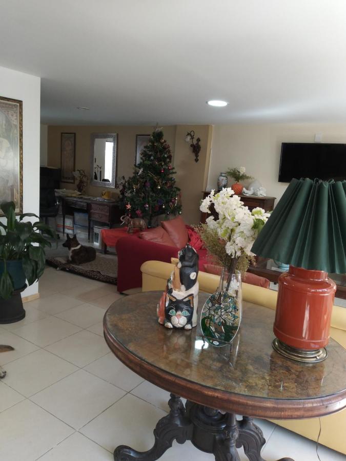 Charming Sunny Bedroom Overlooking Beautiful Amsterdam Avenue In Condesa Area *