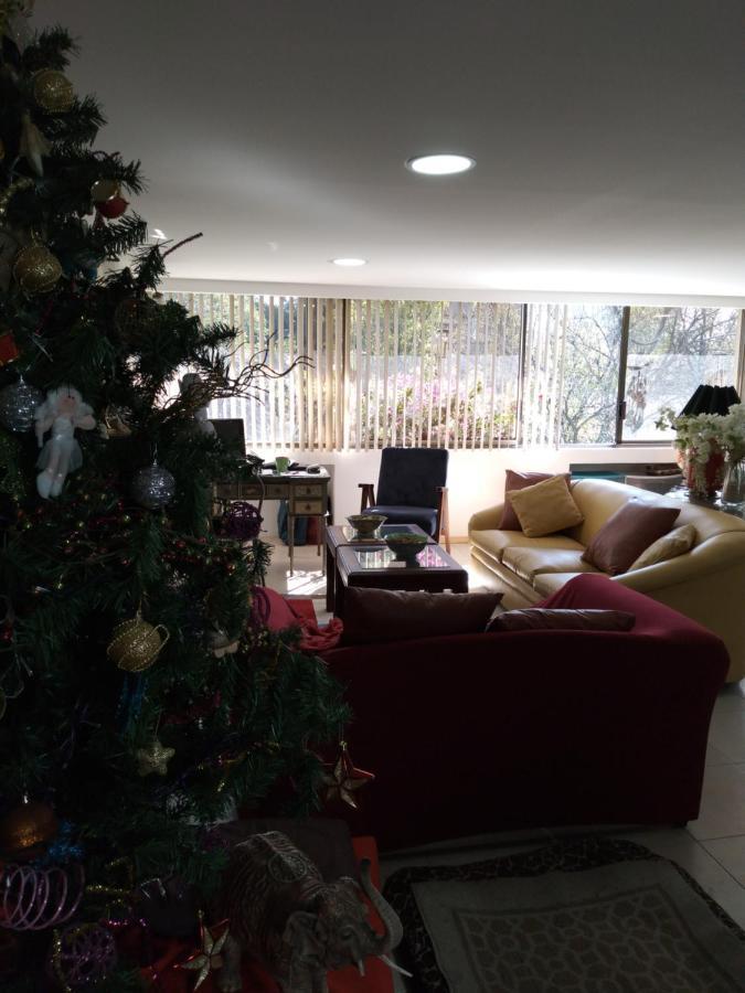 Homestay Charming Sunny Bedroom Overlooking Beautiful Amsterdam Avenue In Condesa Area