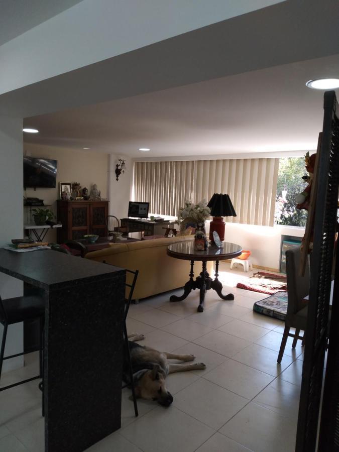 Homestay Charming Sunny Bedroom Overlooking Beautiful Amsterdam Avenue In Condesa Area