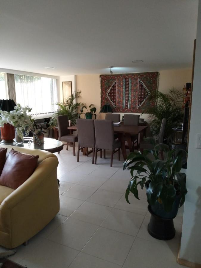 Homestay Charming Sunny Bedroom Overlooking Beautiful Amsterdam Avenue In Condesa Area Mexico City
