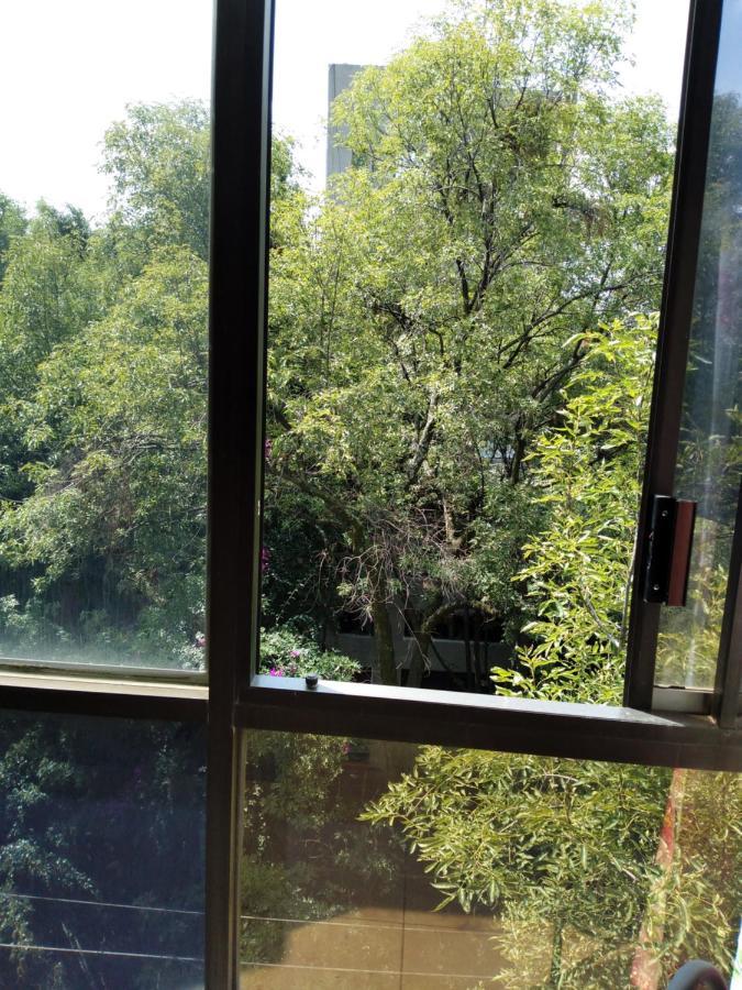 Homestay Charming Sunny Bedroom Overlooking Beautiful Amsterdam Avenue In Condesa Area Mexico City