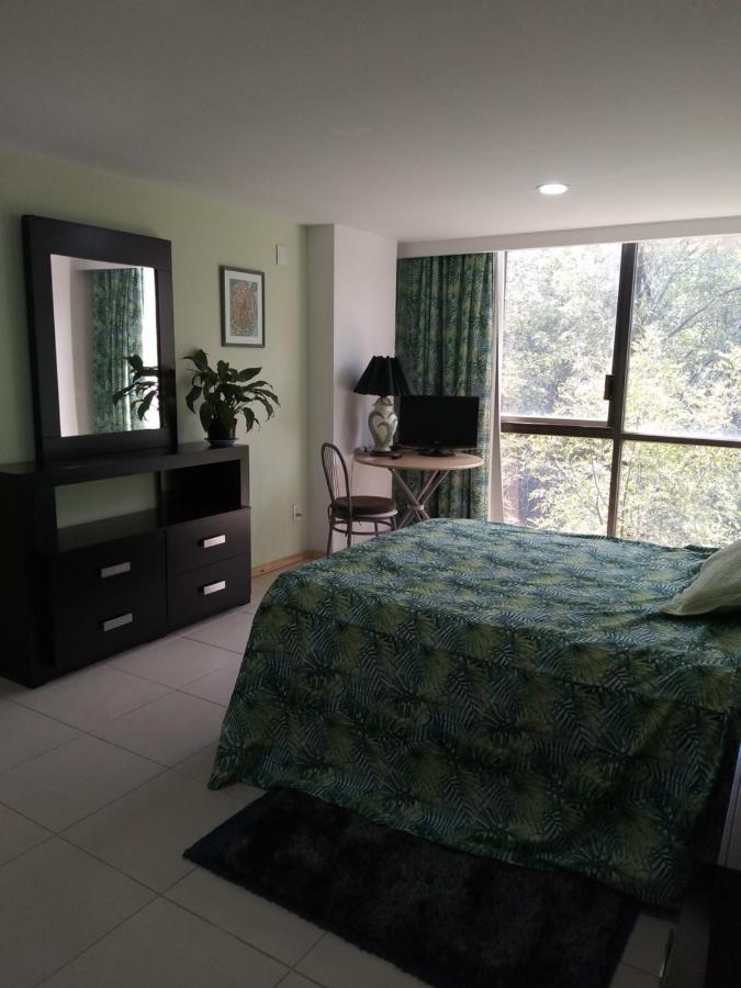 Homestay Charming Sunny Bedroom Overlooking Beautiful Amsterdam Avenue In Condesa Area Mexico City