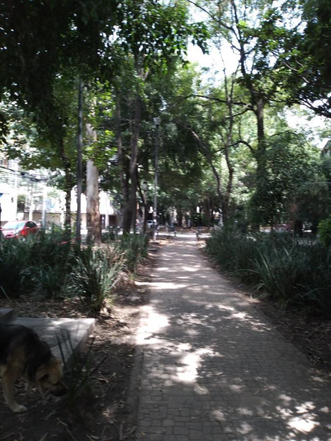 Charming Sunny Bedroom Overlooking Beautiful Amsterdam Avenue In Condesa Area Homestay *