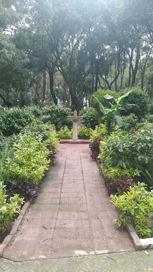 Homestay Charming Sunny Bedroom Overlooking Beautiful Amsterdam Avenue In Condesa Area Mexico City