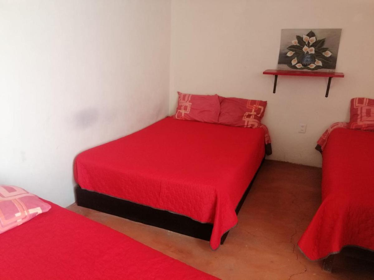 Casita Del Arbol Mexico City