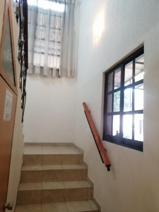 Casita Del Arbol Homestay Mexico City