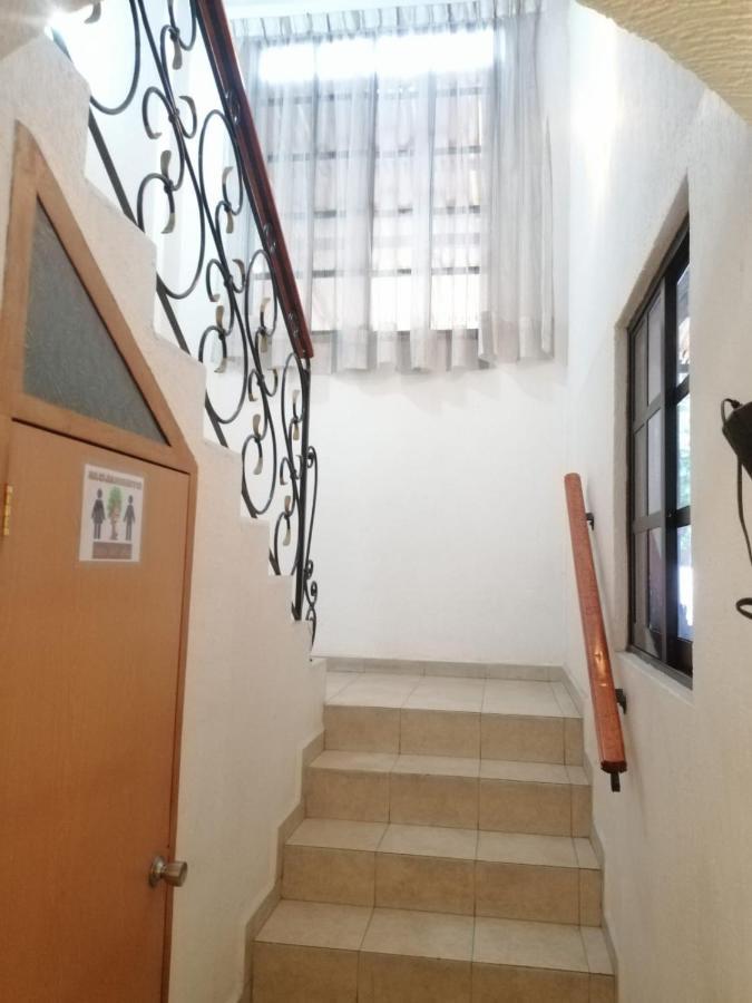 Casita Del Arbol Homestay Mexico City