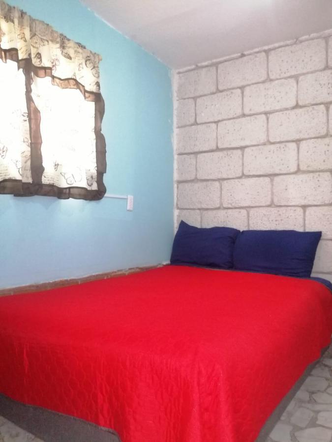Homestay Casita Del Arbol Mexico City