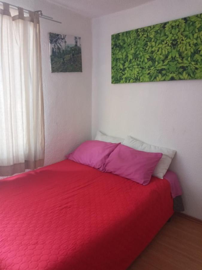 Homestay Casita Del Arbol Mexico City