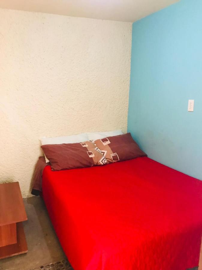 Casita Del Arbol Homestay Mexico City