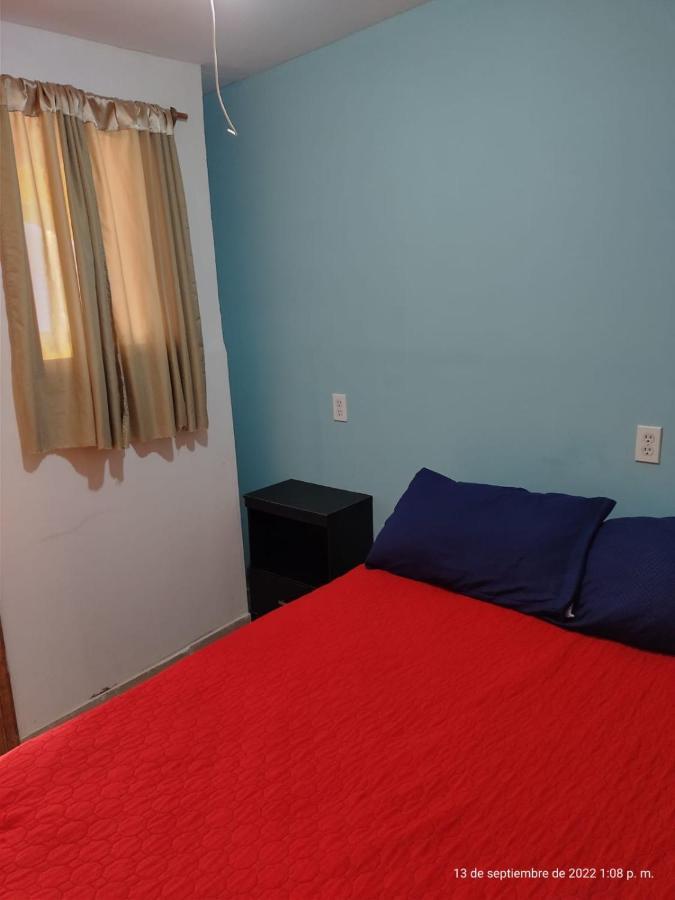 Casita Del Arbol Homestay Mexico City