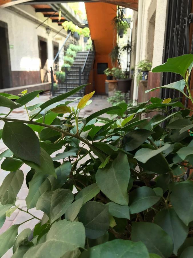 Casa Mesones Mexico City