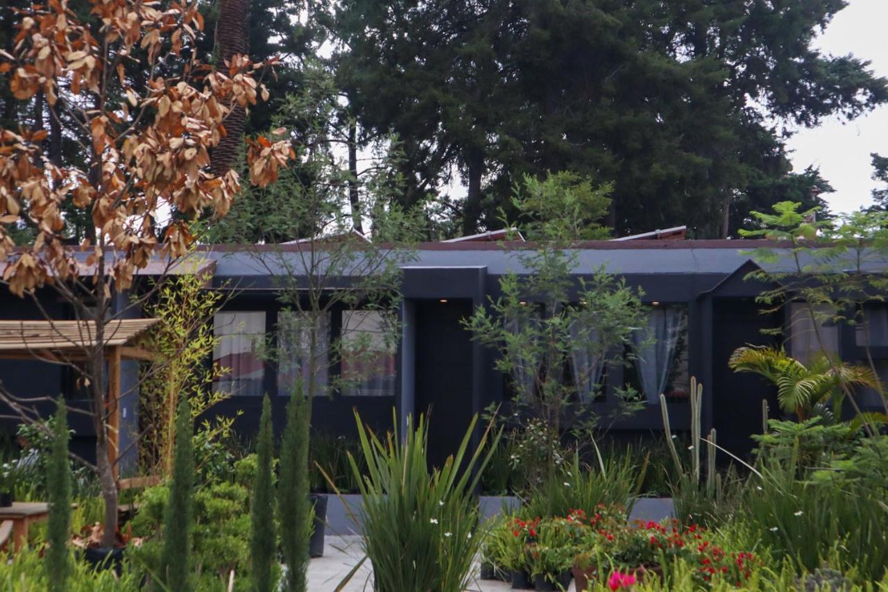 Utopia Boutique Hotel Mexico City