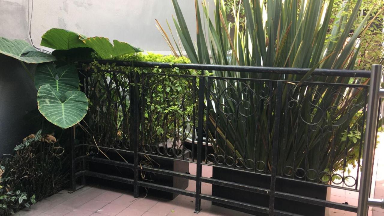 Arte Y Cultura, Casa Polanco. Apartment