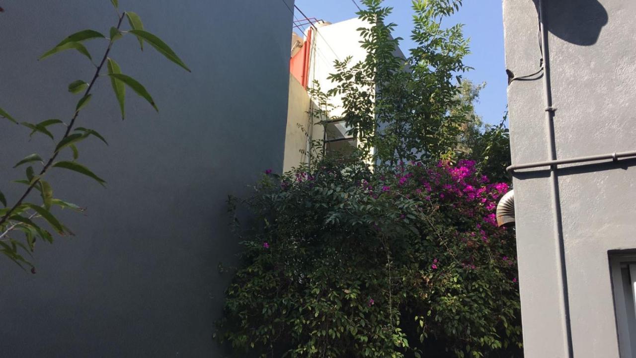 Arte Y Cultura, Casa Polanco. * Mexico City