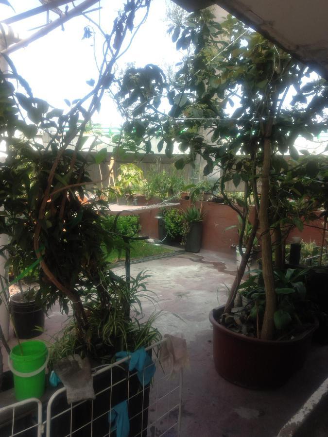 Homestay Recamara En Polanco Mexico City