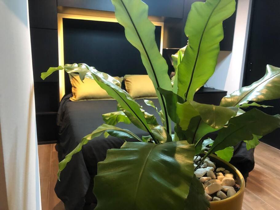 Black Loft. Moderno Y Nuevo, Super Ubicado.