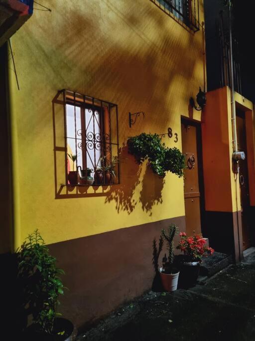 Casa Aba Linda Casa En El Centro De Coyoacan. Holiday home