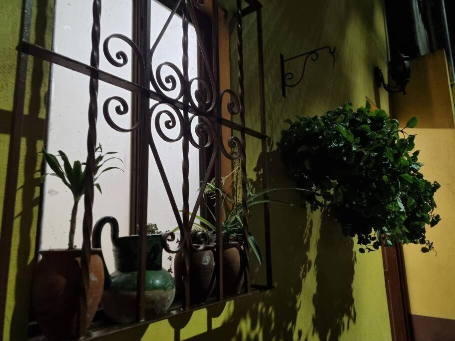 Casa Aba Linda Casa En El Centro De Coyoacan. Holiday home *