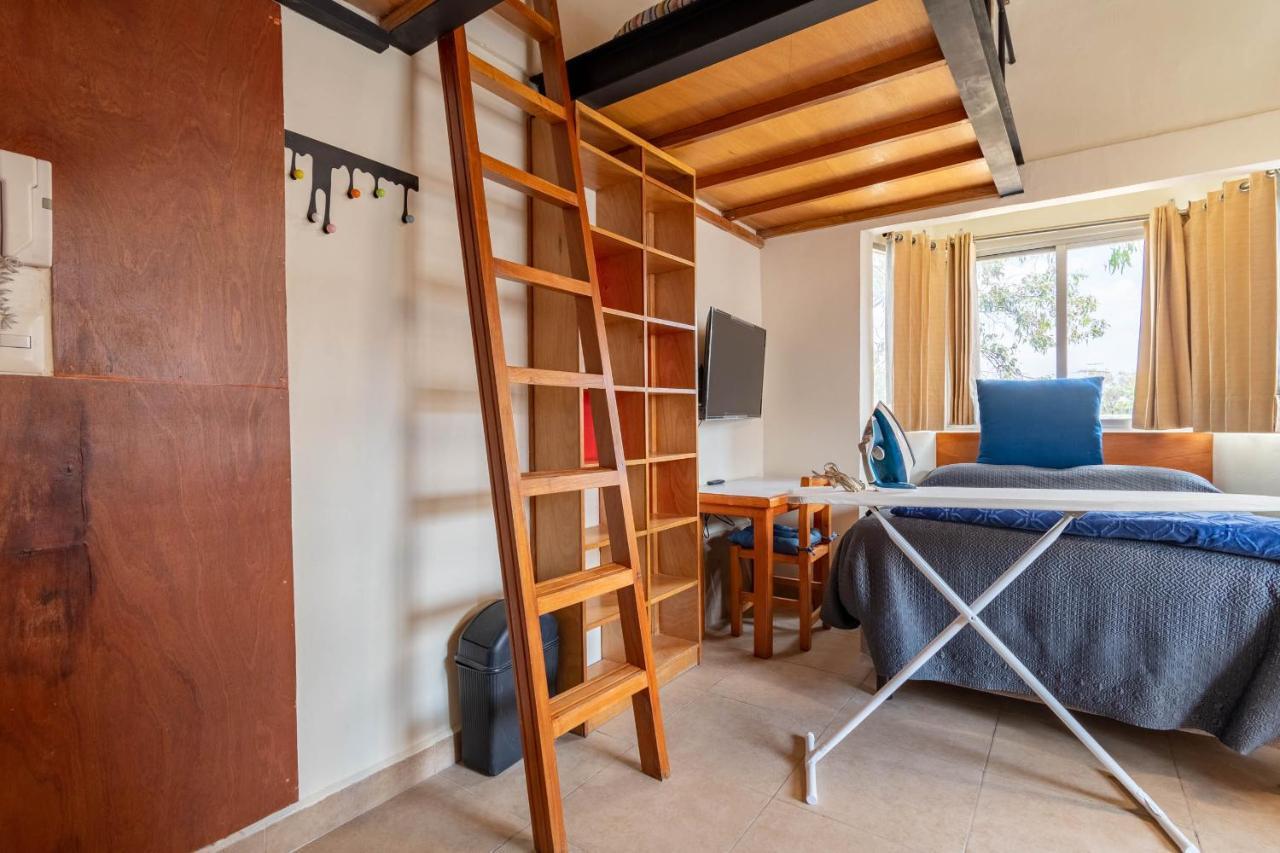 Lofts San Angel Apartment Mexico City