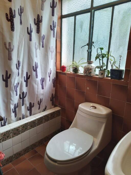 Departamento En Colonia Roma Con 2 Apartment Mexico City