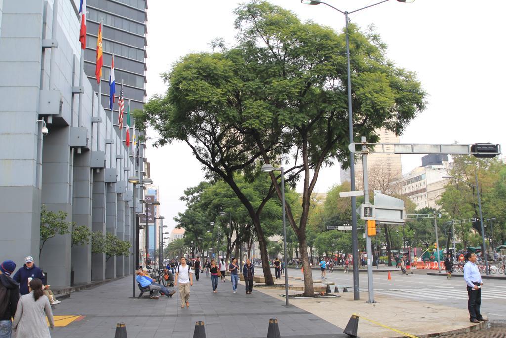 Boutique Centro Historico-402 Apartment